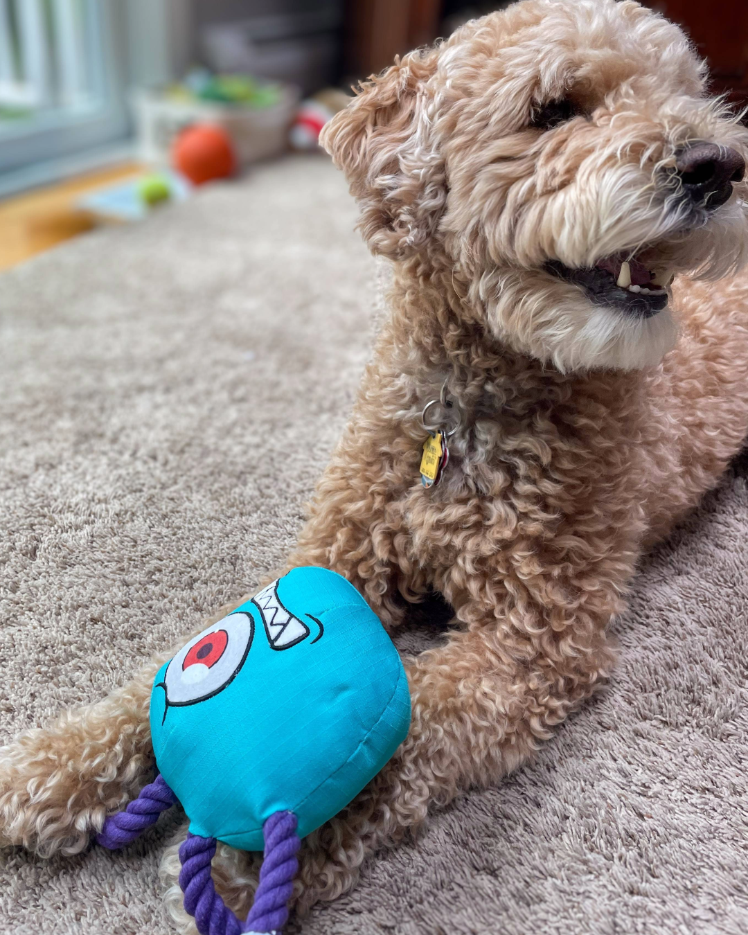 Pawlymorph The Be-Slobber – Durable Plush Dog Toy