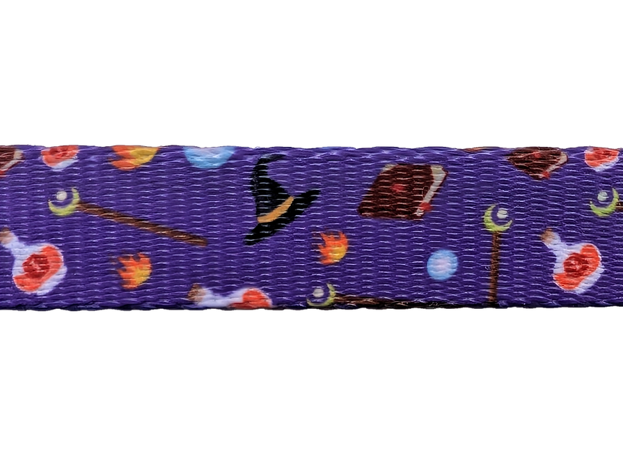 Pawlymorph Dog Collar - Wizard